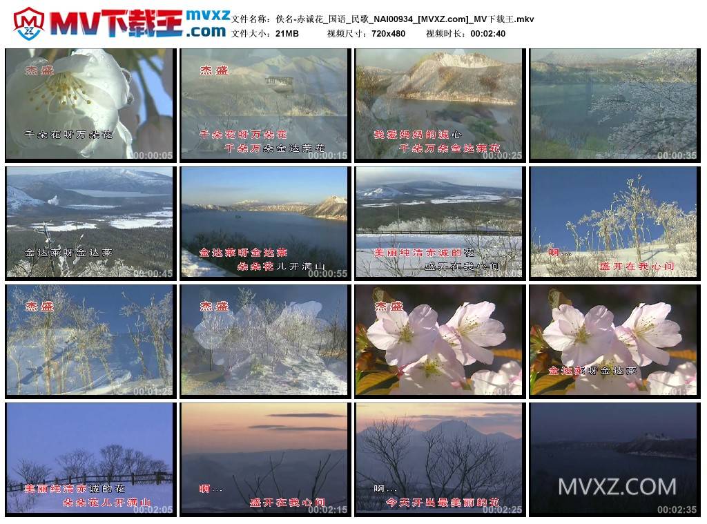 佚名-赤诚花_国语_民歌_NAI00934